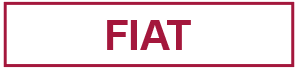 Fiat Schriftzug